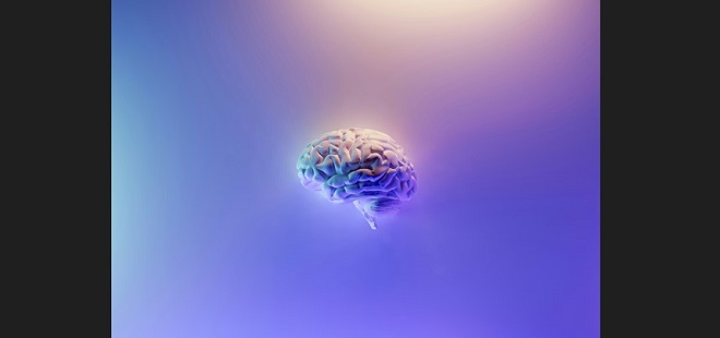 毎月30万を副業で捻出、負けない株式投資のための「投資脳」を育む