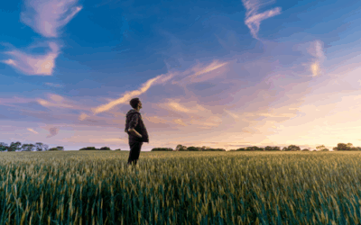 決断しない代償・・・それは「失う未来の総額」