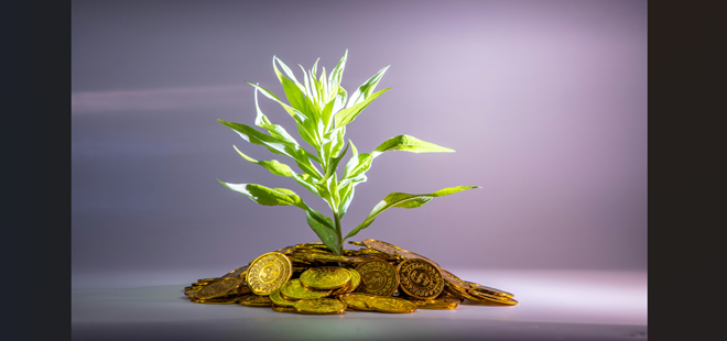 「新規創業融資」から始まるセオリー導入は早期スタートが有利