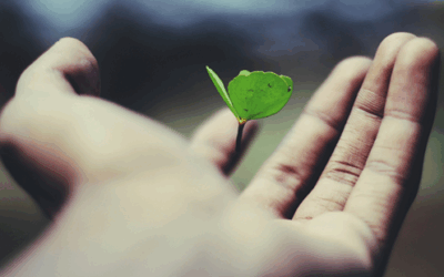 日本人の“貯蓄信仰”が、静かに人生を蝕んでいる