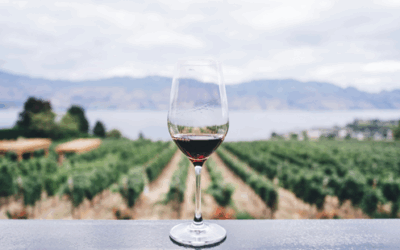 無敗の「高級ワイン投資法」が「プラチナ」で公開