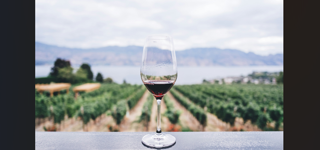 無敗の「高級ワイン投資法」が「プラチナ」で公開