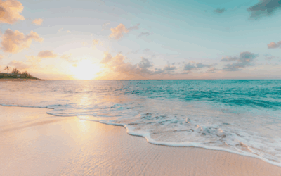 ハワイで約680万円分の買い物をした真意は?