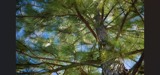 「会社法人」を活用する力、あなたは本当に持っていますか？