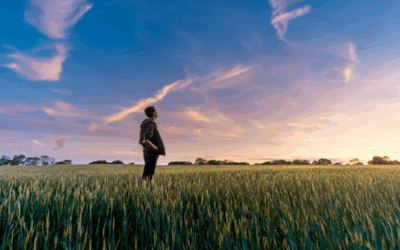 貯金は“防災”、資産は“未来”、仕組みは“生き方”