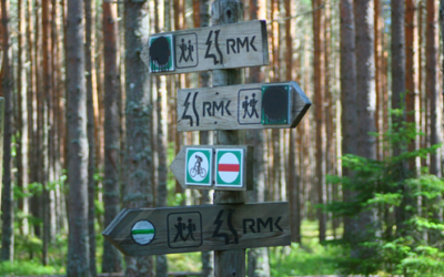 努力の量より選択の質。5億円への最短ルートは「引き算」にある