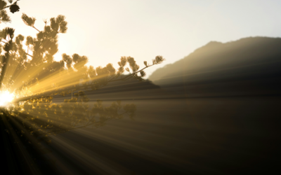 「引き算」で資金を作り、米国成長株で増やす一点突破