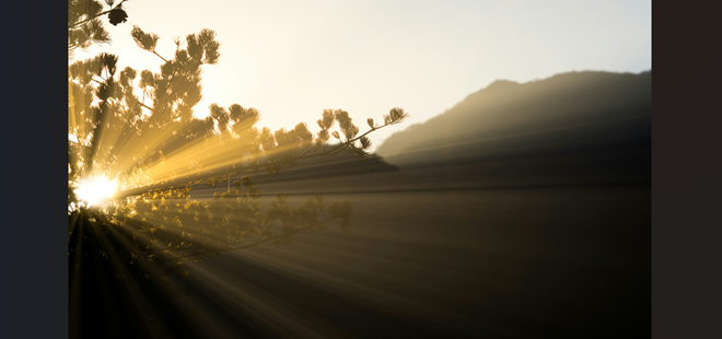 「引き算」で資金を作り、米国成長株で増やす一点突破