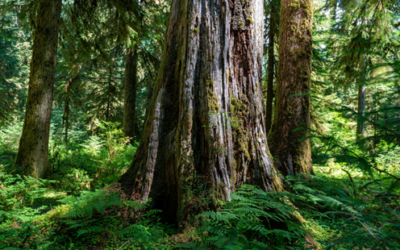 6ヶ月だけ必死に頑張って真剣に「金融資産5億」の礎を築く