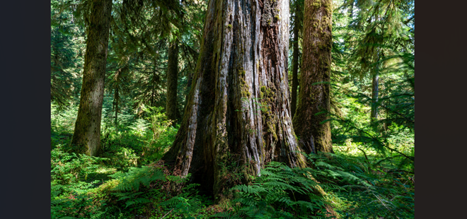 6ヶ月だけ必死に頑張って真剣に「金融資産5億」の礎を築く