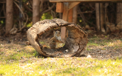 なぜ、あなたの給料は一生上がらないのか？r>gが示す資本主義のバグ