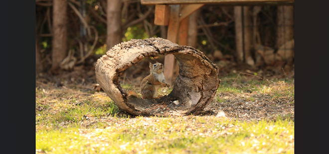 なぜ、あなたの給料は一生上がらないのか？r>gが示す資本主義のバグ