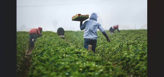 「労働」という名の自殺行為。40代の残り時間はもうない