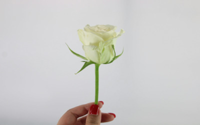 資産を残すと子供は不幸になる？「花」ではなく◯◯を残せ