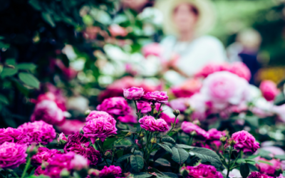 『勝ち方』成功のクオリティを完全コントロールする方法