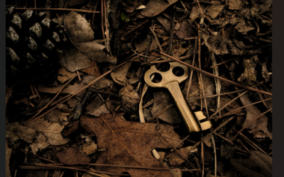 年収2000万は「無理ゲー」？努力の限界と「仕組み」の秘密