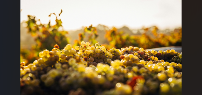 『神の雫』が描く奇跡。「韓国料理×赤ワイン」禁断のマリアージュ