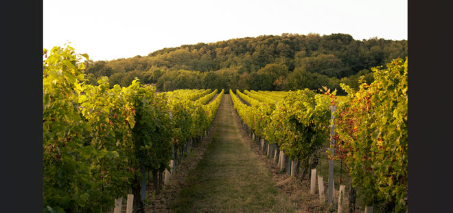 韓国焼肉と奇跡のマリアージュ。その先にある「禁断の世界」へ
