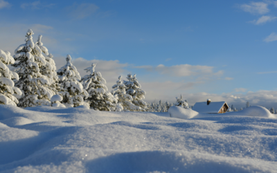 2026年も12分の1が終了しました