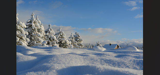 2026年も12分の1が終了しました