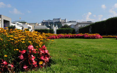 資産家が三代で滅びる理由と残すべき「枯れない花」の正体