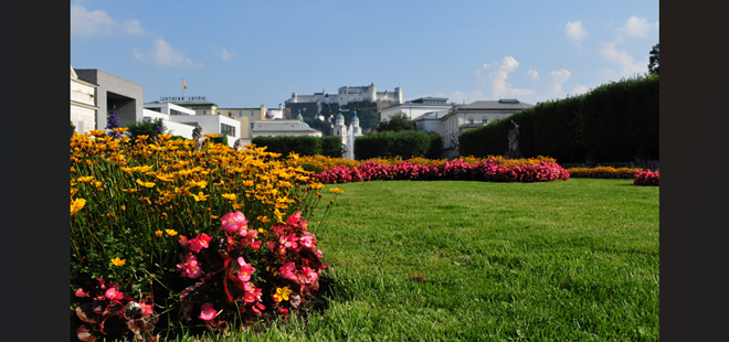 資産家が三代で滅びる理由と残すべき「枯れない花」の正体
