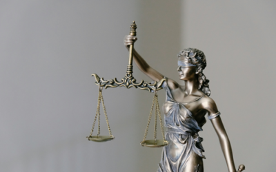 ネット副業の最終結論：物販とアフィリ、勝者はどっち？　　　　