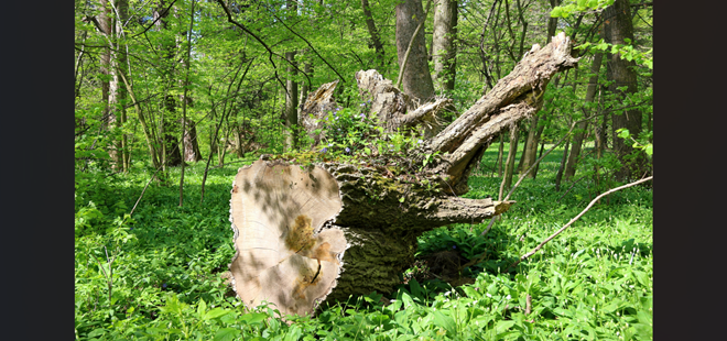 一過性の稼ぎで終わらないための「根幹」の作り方