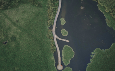 AIで加速する「金融資産5億円」への最短ルート