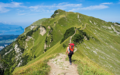 何をやっても全滅だった男が最後にたどり着いた場所