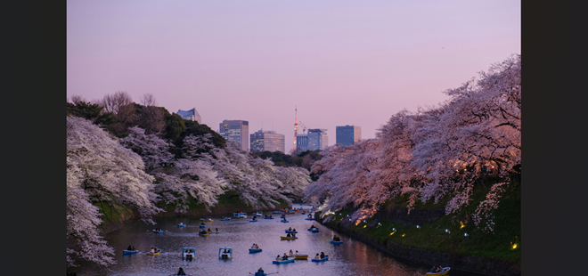 日本では絶対に「AI」と言わない静かなリストラ。